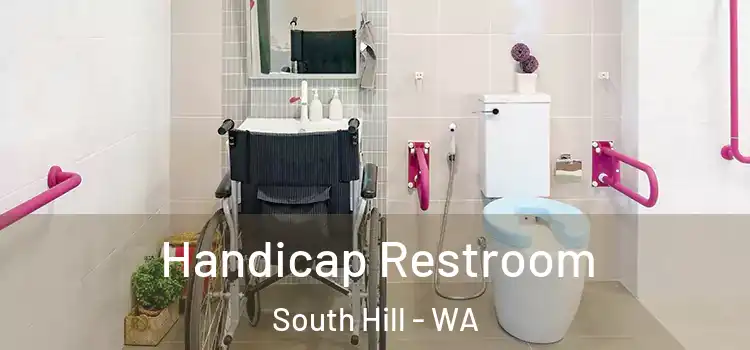 Handicap Restroom South Hill - WA