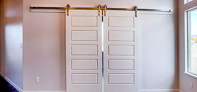 Glass Barn Door with Installation Hardware Kit South Hill
