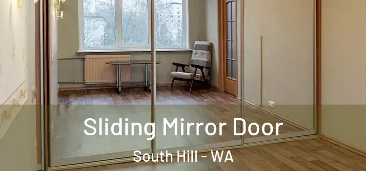  Sliding Mirror Door South Hill - WA